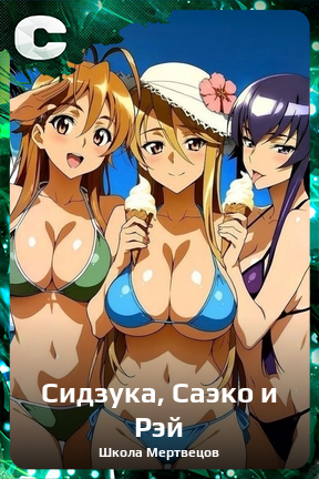 Карточка персонажа Сидзука, Саэко и Рэй