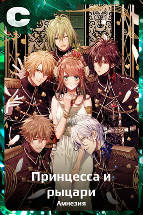 Карточка персонажа Принцесса и рыцари