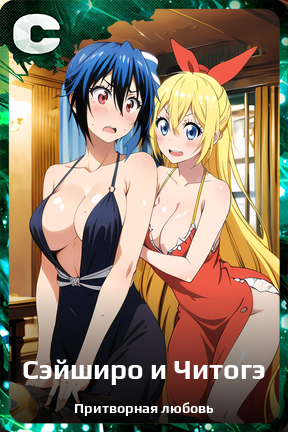 Карточка персонажа Сэйширо и Читогэ