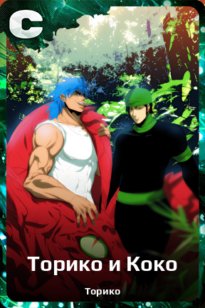 Карточка персонажа Торико и Коко