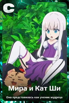 Карточка персонажа Мира и Кат Ши