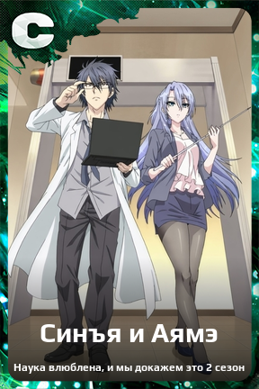 Карточка персонажа Синъя и Аямэ