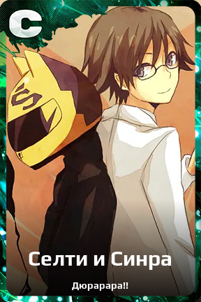 Карточка персонажа Селти и Синра