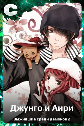 Карточка персонажа Джунго и Аири