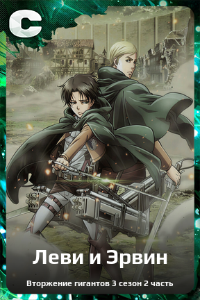 Карточка персонажа Леви и Эрвин