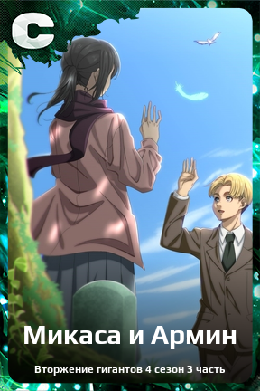 Карточка персонажа Микаса и Армин