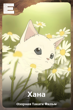 Карточка персонажа Хана