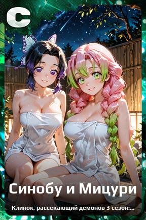 Карточка персонажа Синобу и Мицури