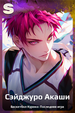 Карточка персонажа Сэйджуро Акаши