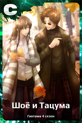 Карточка персонажа Шоё и Тацума