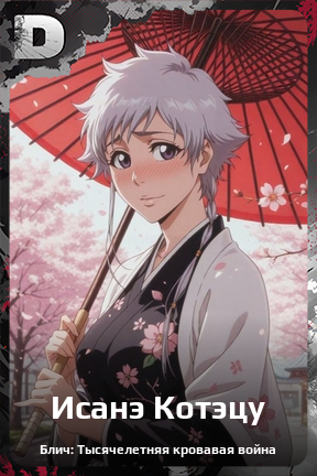 Карточка персонажа Исанэ Котэцу