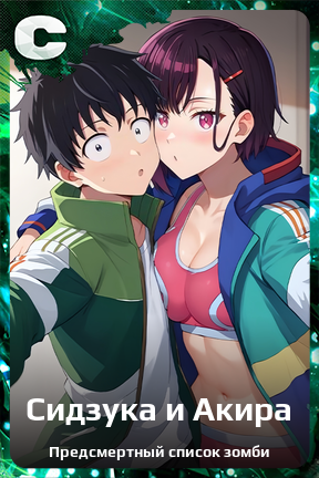 Карточка персонажа Сидзука и Акира