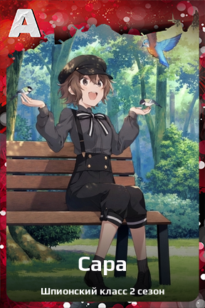 Карточка персонажа Сара
