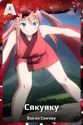 Карточка персонажа Сякуяку