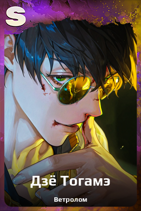 Карточка персонажа Дзё Тогамэ