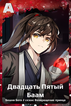 Карточка персонажа Двадцать Пятый Баам