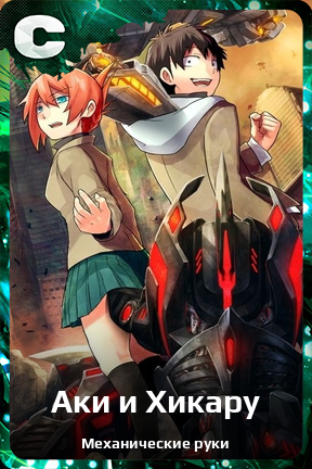 Карточка персонажа Аки и Хикару