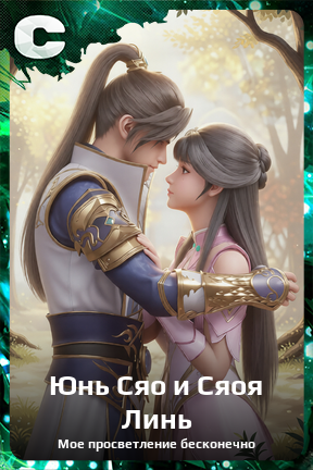 Карточка персонажа Юнь Сяо и Сяоя Линь