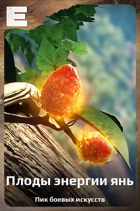 Карточка персонажа Плоды энергии янь