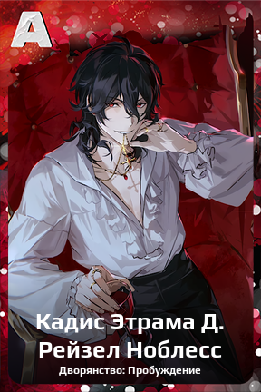 Карточка персонажа Кадис Этрама Д. Рейзел Ноблесс