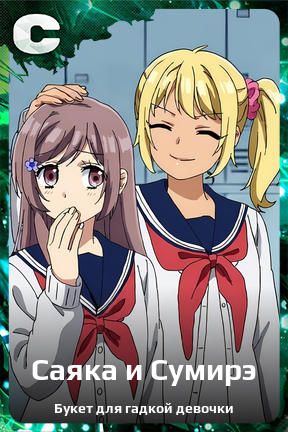 Карточка персонажа Саяка и Сумирэ