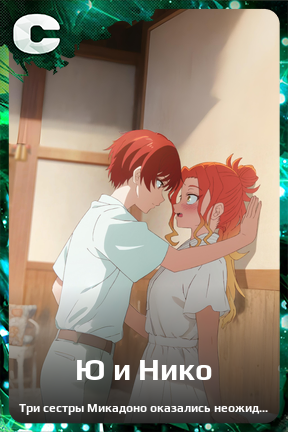 Карточка персонажа Ю и Нико