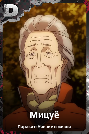Карточка персонажа Мицуё