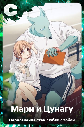 Карточка персонажа Мари и Цунагу