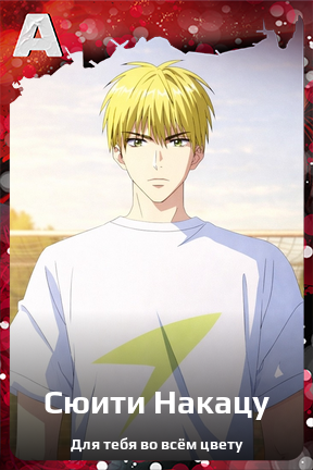 Карточка персонажа Сюити Накацу