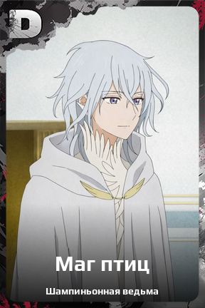 Карточка персонажа Маг птиц
