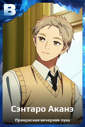 Карточка персонажа Сэнтаро Аканэ