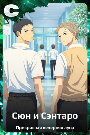 Карточка персонажа Сюн и Сэнтаро