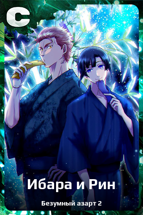 Карточка персонажа Ибара и Рин