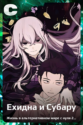 Карточка персонажа Ехидна и Субару