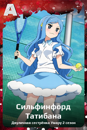 Карточка персонажа Сильфинфорд Татибана