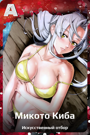 Карточка персонажа Микото Киба