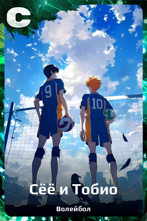 Карточка персонажа Сёё и Тобио