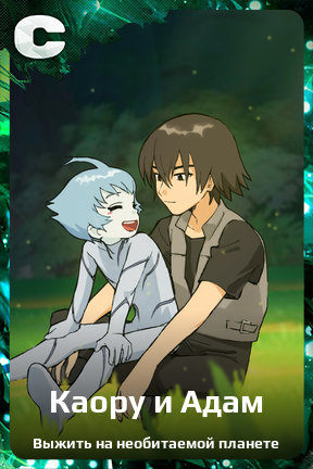 Карточка персонажа Каору и Адам