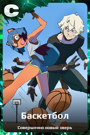 Карточка персонажа Баскетбол