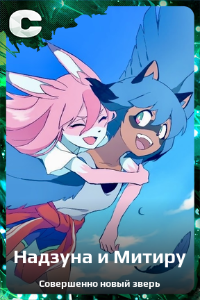 Карточка персонажа Надзуна и Митиру