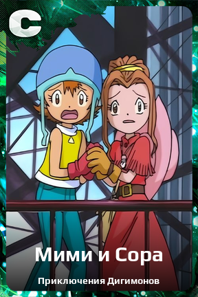 Карточка персонажа Мими и Сора