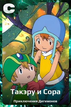 Карточка персонажа Такэру и Сора