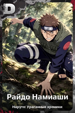 Карточка персонажа Райдо Намиаши