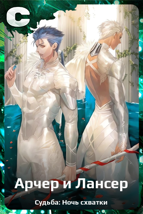 Карточка персонажа Арчер и Лансер