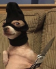 Ergo