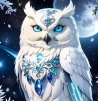 Nice_OWL
